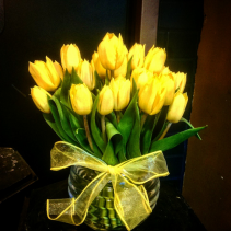 Tulips Custom