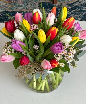 tulip love  spring