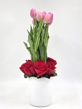 Tulip Love you Mothers day 2025
