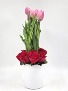 Tulip Love you Mothers day 2025