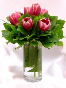 TULIP MAGENTICS - Special Occasion Flowers Tulips and Flowers Prince George BC, Prince George BC Flowers, Prince George BC Florists