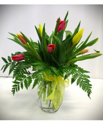 TULIP MIX (COLORS MAY VARY) FRESH FLOWERS VASED