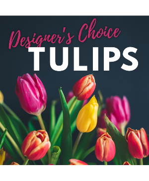 Tulip Mix Designer's Choice