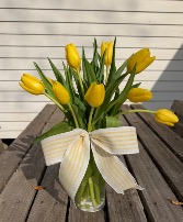 Tulip moment  Tulips with matching bow 