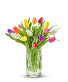 Tulip Serenade Fresh Flowers
