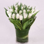 Tulip Simplicity Vase Arrangement