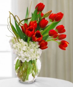 TULIP SPLASH Valentines Day in Wilton Manors, FL | LA FLEUR FLORALS & EVENTS TULIP SPLASH Valentines Day in Wilton Manors, FL | LA FLEUR FLORALS & EVENTS