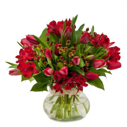 Tulip Supreme Arrangement