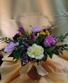 Category Image