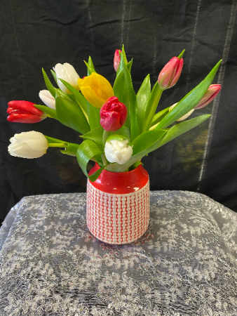 Tulip Surprise 