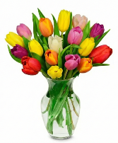 Tulip Surprise Assorted Tulip Vase Mix