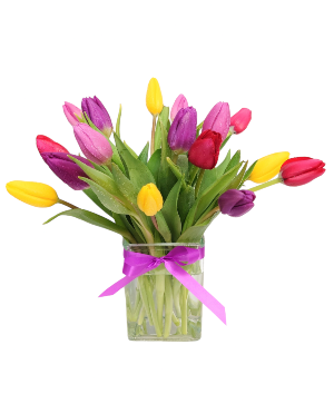 Tulip Surprise Flower