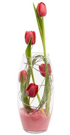 Tulip Swirl 