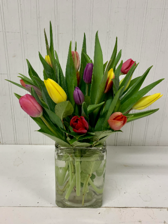Tulip Time-20 stems