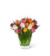 Tulip Trend Bouquet 15 Stems in Vase