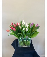 Tulip Trio 