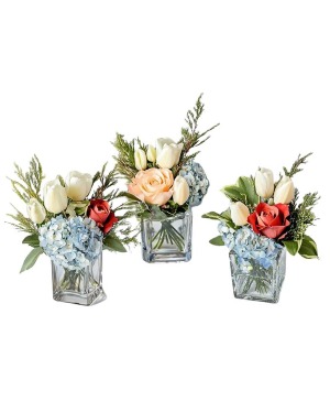 Tulip Trio Arrangement