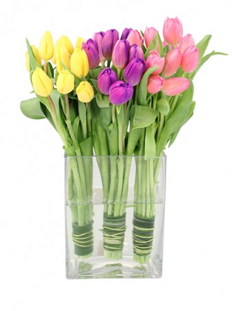 Tulip Trio Arrangement in Ozone Park, NY | Heavenly Florist