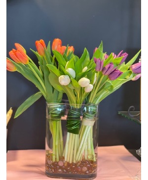 Tulip Trio Tulips