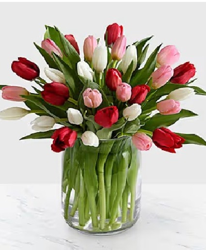 Tulip Trio Vase Arrangement