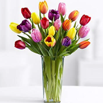 Tulip vase   in Ozone Park, NY | Heavenly Florist