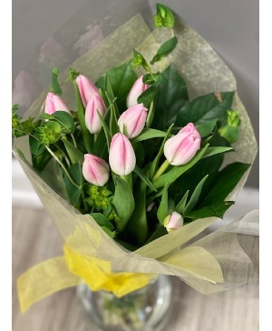 Tulip Wrap *Cash & Carry Special*