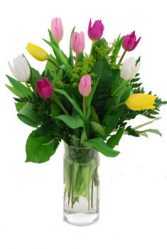 Tulips 