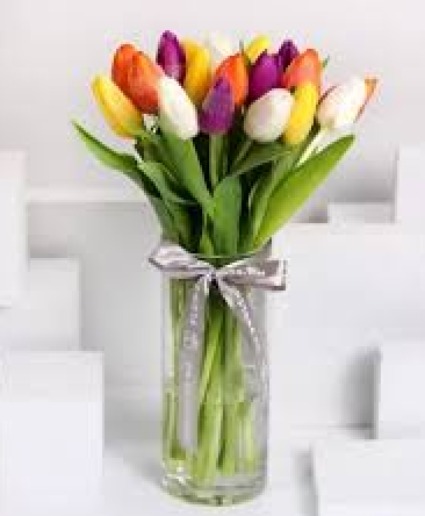 Tulips