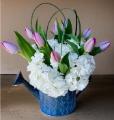 Tulips and Blooms 