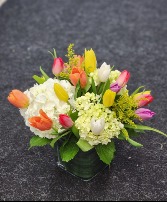 Tulips and hydrangeas low compact 