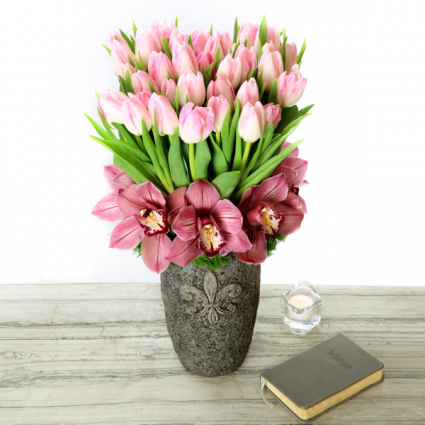 Tulips and orchids  