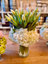 Tulips anytime  Tulips 