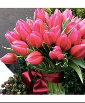 tulips are better than one  valentines 