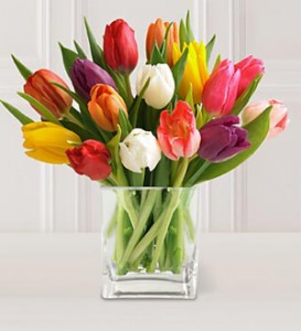 15 Mixed Tulips Arranged in a Vase *Seasonal, availability may be limited