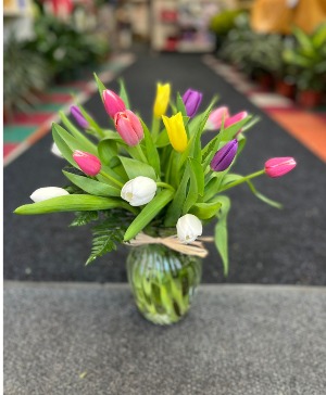 Assorted Tulip vase   tulip vase 