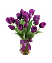 Tulips (Color will Vary) Fresh Vase