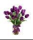 Tulips (Color will Vary) Fresh Vase