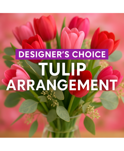 Tulips Designers Choice