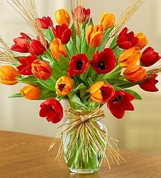 Tulips for Fall Red, Yellow, Orange, Purple, and More!