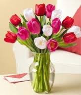 Tulips For Your Sweetheart!! 