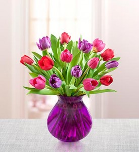 TULIPS FOR YOUR VALENTINE in Camp Pendleton, CA | CAMP PENDLETON FLORIST TULIPS FOR YOUR VALENTINE in Camp Pendleton, CA | CAMP PENDLETON FLORIST