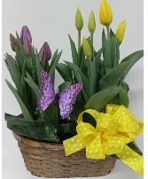 Tulips in a Basket 