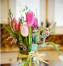  Beautiful Tulips  