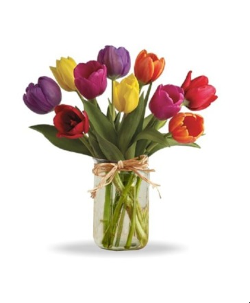 Rainbow Tulip Vase  in Fredericton, NB | GROWER DIRECT FLOWERS LTD