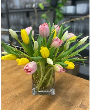 Tulips in vase 