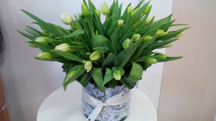 Tulips & Lace Vase Arrangement