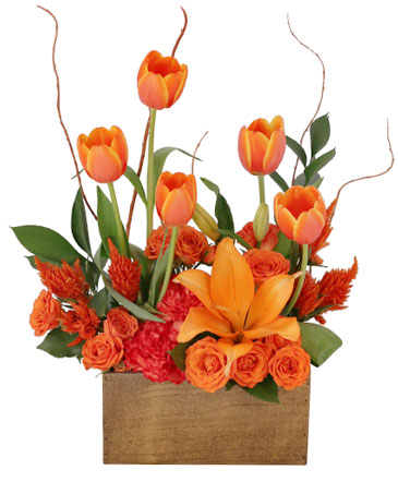 Tulips on Fire Floral Arrangement in Solana Beach, CA | DEL MAR FLOWER CO