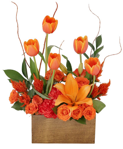 Tulips on Fire Floral Arrangement