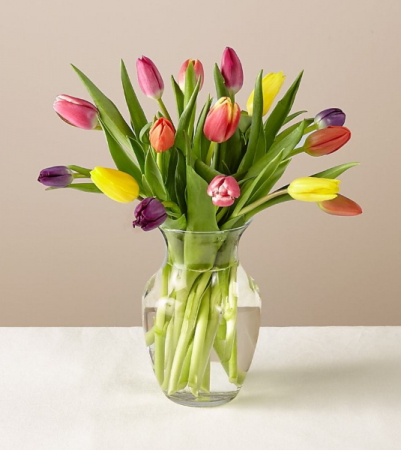 Tulips say Thank You 
