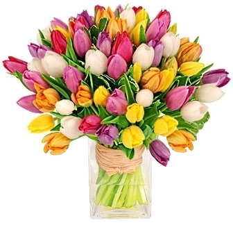 TULIPS SENSATIONS BOUQUET